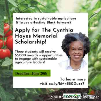Release: Cynthia Hayes Scholarship Awarded to Rising Stars in Sustainable Agriculture - National Sustainable Agriculture Coalition