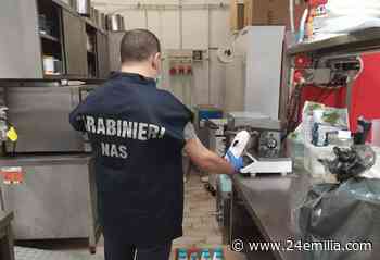Controlli in gelaterie, Nas sequestrano 112 kg tra Parma, Piacenza, Modena e Reggio Emilia - 24Emilia