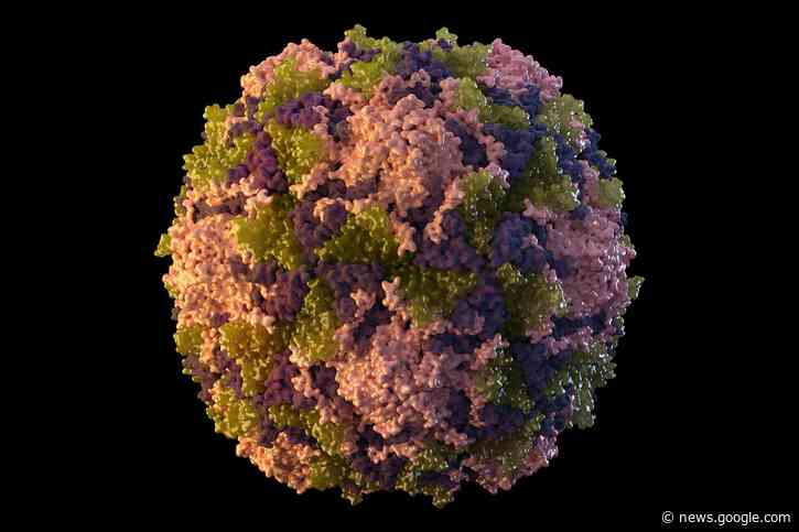 Polio threat virtually nonexistent to vaccinated people in Bay Area - San Francisco Chronicle