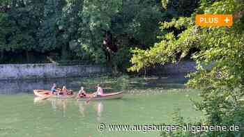Augsburg: Dramatischer Moment: Meterhoher Baum stürzt in die Kahnfahrt | Augsburger Allgemeine - Augsburger Allgemeine