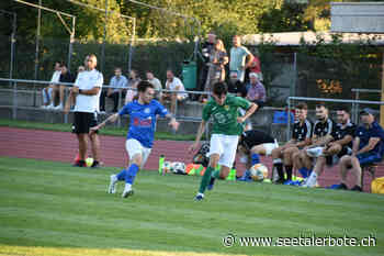 Hochdorf und Hitzkirch siegen - Seetaler Bote