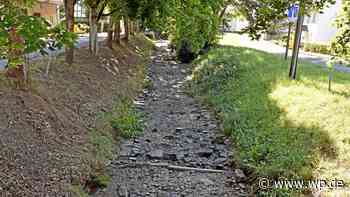 Hitze in Siegen: Bäche trocknen aus – Fischsterben droht - WP News