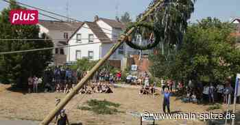 Trebur: Kurz vor halb vier steht der Kerwebaum - Main-Spitze
