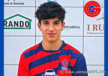 Un Under a testa per Gavirate e Verbano che continuano a rinforzarsi - VareseSport
