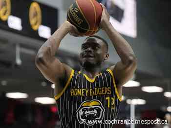 Hamilton survives crazy finish to win CEBL title at TD Place - Cochrane Times Post