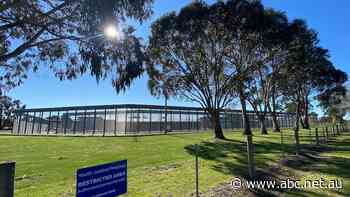 Malmsbury Youth Justice Centre understaffed, insecure during August escape, giving workers 'severe anxiety' - ABC News
