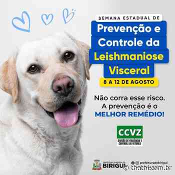 Semana de Prevenção e Controle de Leishmaniose Visceral termina sábado, em Birigui - Portal Thathi