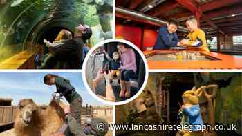 The top 10 family attractions in the North West this summer