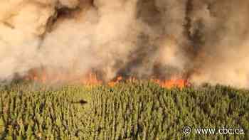 Longer fire season, more blue-green algae. Get ready for the new northern Ontario summer