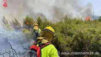 Spanien: Waldbrand wütet an Costa Blanca - Dutzende Häuser evakuiert