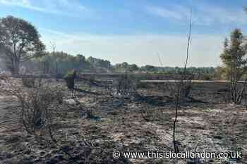Dartford Heath land fire: Firefighters still on scene  