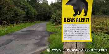 Bear attack near Tony Knowles Coastal Trail. - Alaska's News Source