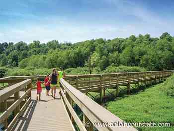 Take A Boardwalk Trail Through The Wetlands Of John James Audubon State Park In Kentucky - Only In Your State
