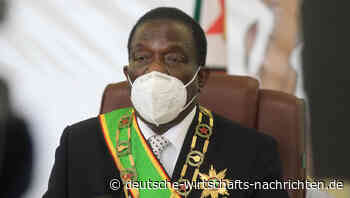 Simbabwe: Goldmünzen sollen den Dollar ersetzen