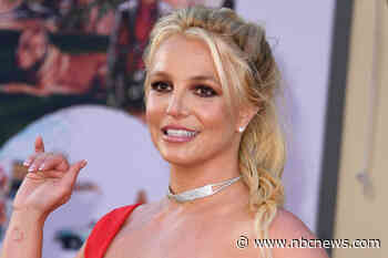 As a psychotherapist, this is what I saw in the video clips of Spears yelling at her kids