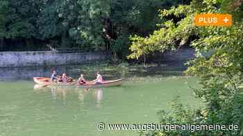 Umgestürzter Baum bei der Kahnfahrt: War Trockenheit der Grund?
