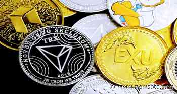 Keninah Concord And Fantom, Paired with Baby Doge Coin Will Give You a Well-Balanced Wallet! - NewsBTC