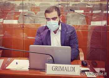 Voucher Scuola Piemonte, Grimaldi (Liberi Uguali Verdi): "Respinte 65 mila famiglie idonee, basta discriminazioni" - Radio Gold