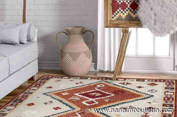 5 reasons to get your area rug cleaned by a professional