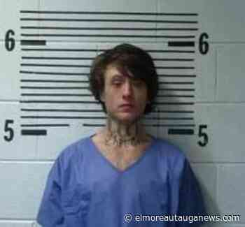 Montgomery Man Faces Multiple Charges after Chase with Millbrook Police - Elmore Autauga News