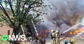 Grote brand in stallen van boerderij in Wauberg (Peer) - VRT NWS