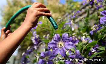 London hosepipe ban to come within days as 15 million customers impacted