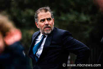 Images allegedly from Hunter Biden’s hard drive are ideal content for 'post-irony' meme accounts