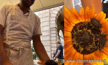 Vi presentiamo il menu estivo del ristorante MoS a Desenzano del Garda - Identità Golose Web