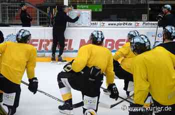 Die Tigers legen los - „Wie junge Hunde von der Leine lassen“ - Nordbayerischer Kurier