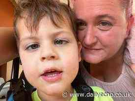 Mum 'overjoyed' as disabled son plays at Southampton park for first time - Southern Daily Echo