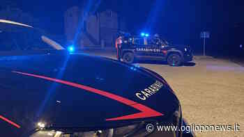 Carabinieri, intenso weekend di controlli per Parma e provincia - OglioPoNews - OglioPoNews