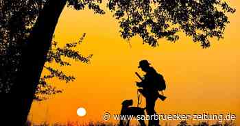 Zoo Neunkirchen: Ärger um Fuchsgehege – das sagen Jäger im Saarland - Saarbrücker Zeitung