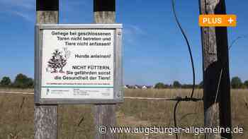 Die Stadt darf die Probleme im Augsburger Stadtwald nicht mehr aussitzen