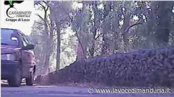 Arrestato a Lecce volontario della Protezione civile per avere provocato l'incendio di un bosco IL VIDEO - La Voce di Manduria