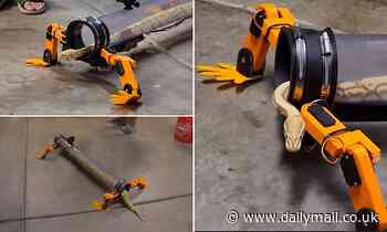 Inventor develops a bizarre four-legged robot that allows snakes to 'walk' 