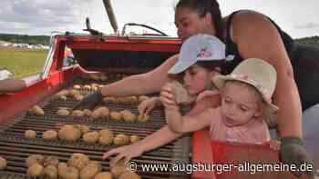 Aktionstag für Kinder: Kartoffeln wachsen nicht im Supermarkt