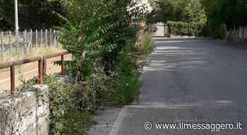 Rieti, tratti di via Molino della Salce trasformati in giungla urbana / Le foto - ilmessaggero.it
