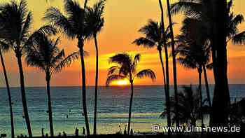 In Hawaii Urlaub machen – Das sollten Reisende berücksichtigen