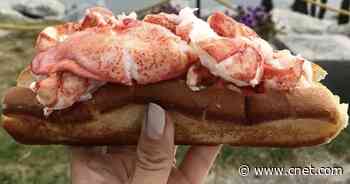 Get America's Best Foods Delivered to Your Door and Save 20%     - CNET