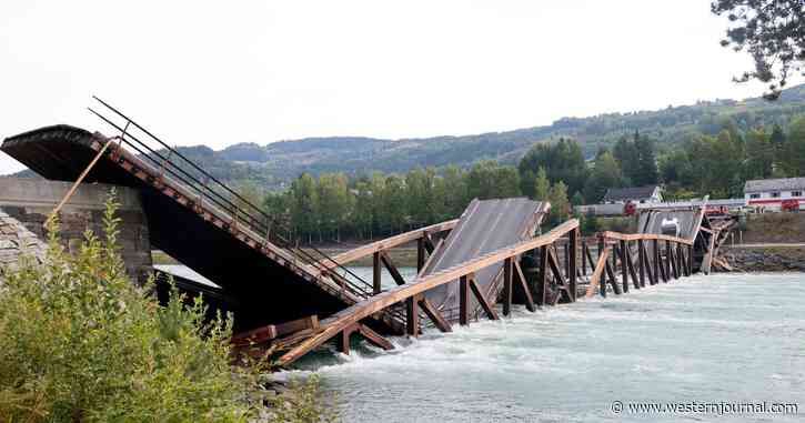 Second Bridge Made of Wood and Glue Collapses, Similar Crossings Closed When People Realize There Might Be a Pattern