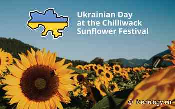 Chilliwack Sunflower Festival Hosts Fundraising Day in Aid of Ukraine, Aug 25 - Foodology