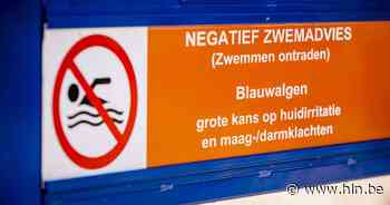 Blaarmeersen blijft voorlopig gespaard van blauwalg, elders wel problemen - Het Laatste Nieuws