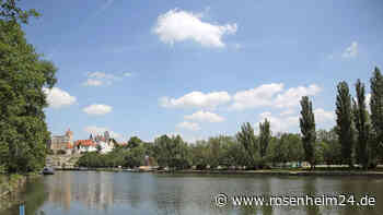 Fischsterben nun auch in der Saale: Hunderte tote Tiere - Verband ist „schockiert und enttäuscht“