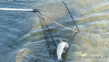 M&A - In der Payment-Branche steigt das Übernahmefieber