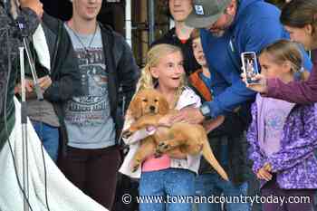 Westlock brain cancer warrior battles to make a difference - Town and Country TODAY