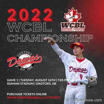 Okotoks Dawgs going for another WCBL Championship - CochraneNow.com
