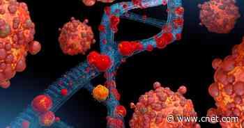 Monkeypox Outbreak: What to Know About Variants and More     - CNET