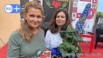 Rathenow: Autorin Jasmin Schreiber liest aus „Der Mauersegler“ und spricht über Depressionen, Trauer und das Schreiben - Märkische Allgemeine Zeitung