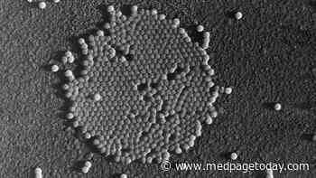 The Current Case of Polio Through a Historical Lens