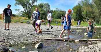 Flussbett in Sinzig: Trockene Ahrmündung als Ausflugsziel - General-Anzeiger Bonn